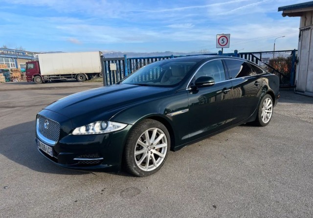 jaguar